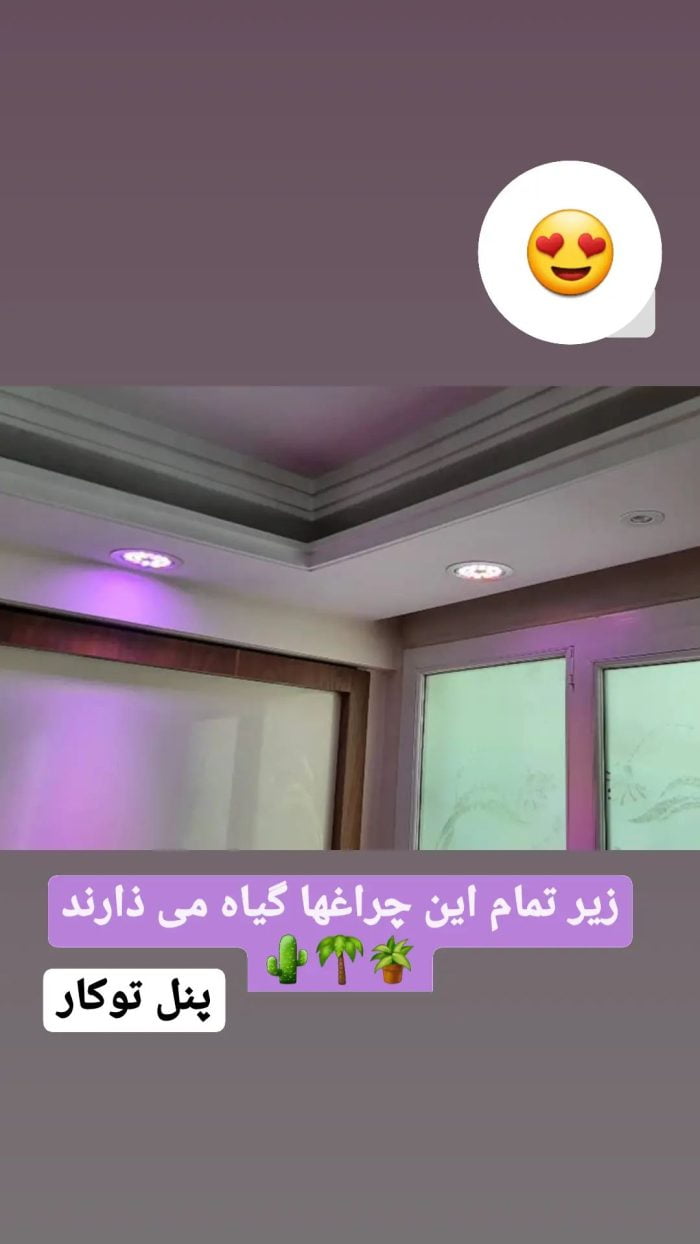 لامپ سقفی رشد گیاه