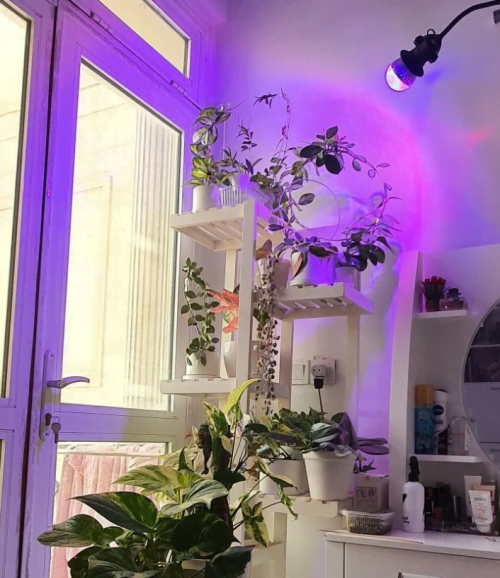 پایه خرطومی ریلی | خرید لامپ رشد گیاه لامپ رشد گیاه | نور گیاه