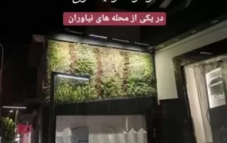 بهترین لامپ رشد گیاه ایران