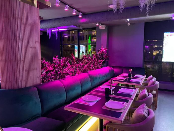 چراغ ریلی رشد گیاه رستوران ترکیه ای در تهران