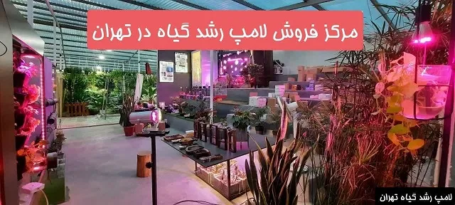 مرکز فروش لامپ رشد گیاه در تهران - لامپ رشد گیاه تهران