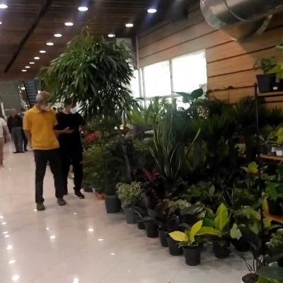 نمایشگاه گل و گیاه تهران بوستان گفتگو