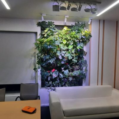 نور دیوار سبز - لامپ رشد گیاه گرین وال
