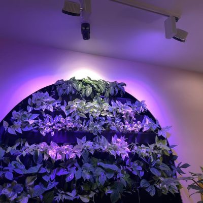 نور دیوار سبز - لامپ رشد گیاه گرین وال