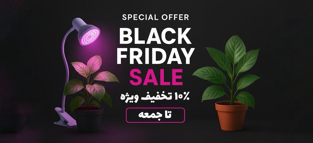 WhatsApp Image 2025 11 24 at 9.08.22 PM